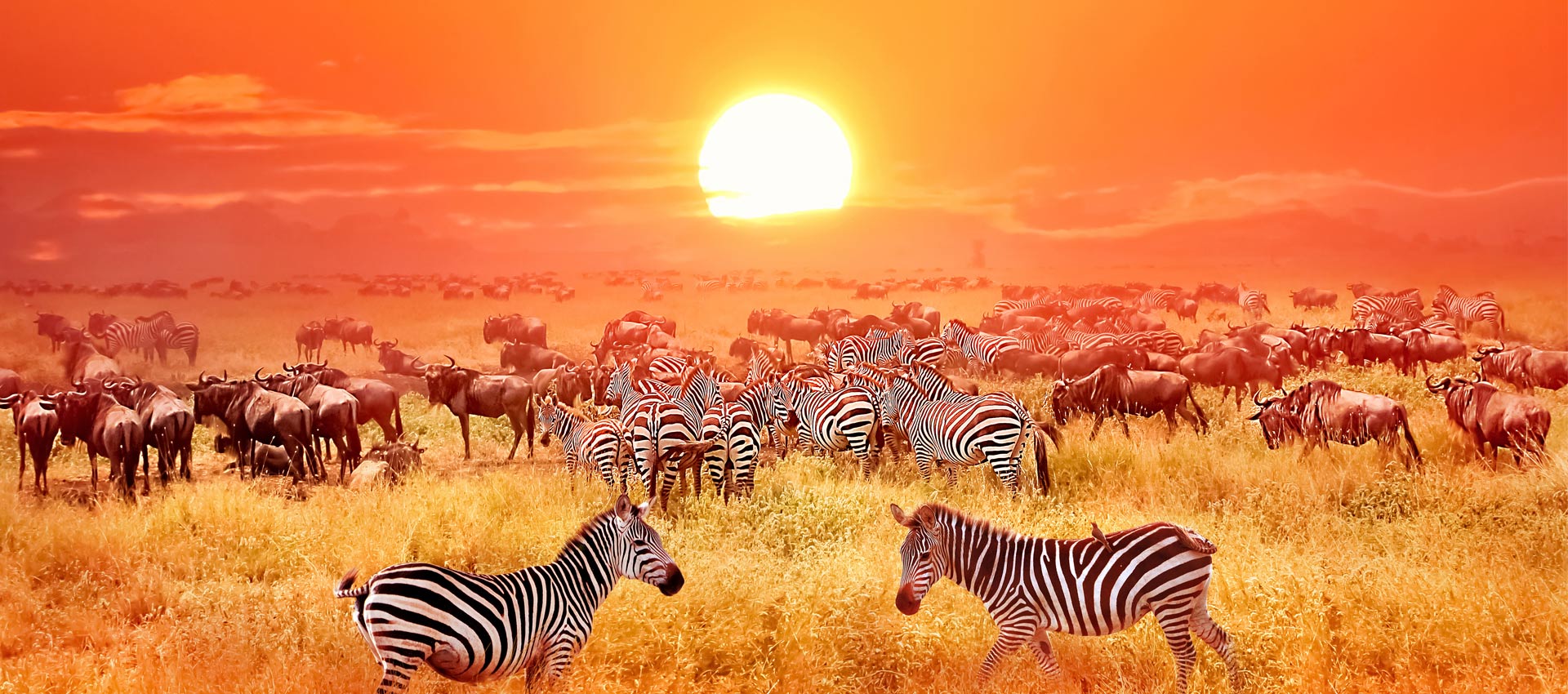 Explore Africa is offering a growing variety of travel destinations in ...