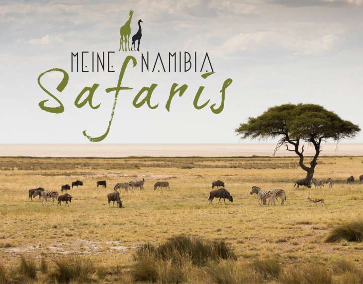 Explore-Africa-meine-namibia-safaris