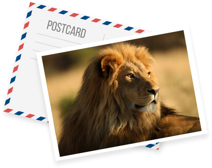 Contact Us | Book a tour to Africa with Explore Africa