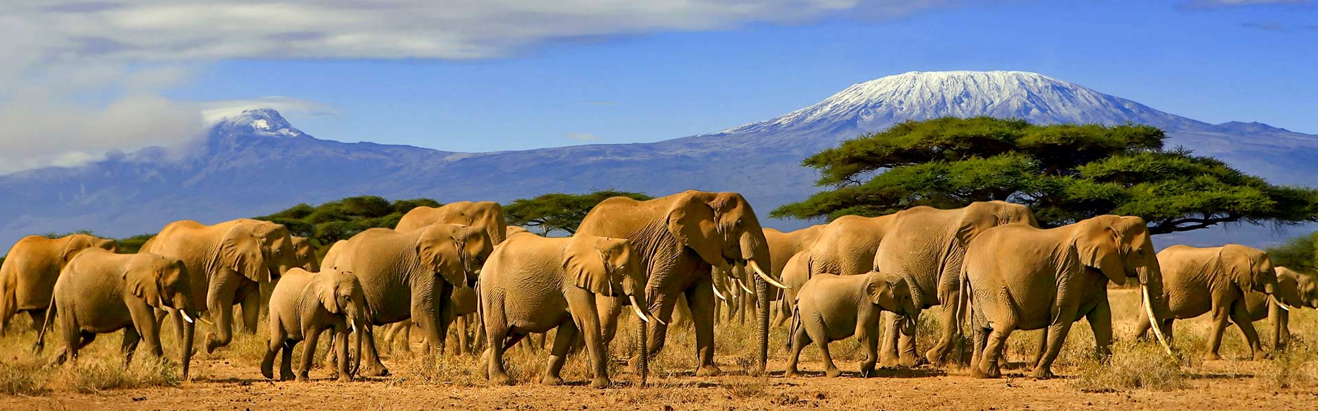 Explore-Africa-Thank-you-header
