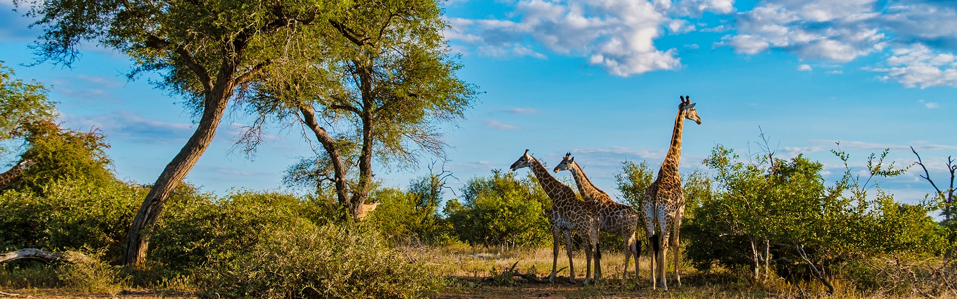 Explore-Africa-Travel-ANVR-SGR-Calamiteitenfonds